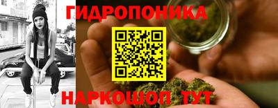 ECSTASY Новозыбков