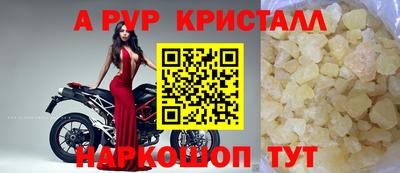 ECSTASY Новозыбков