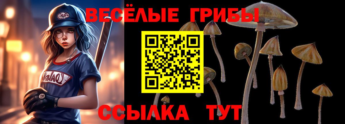 Галлюциногенные грибы ЛСД  Вход с VPN  Североуральск 